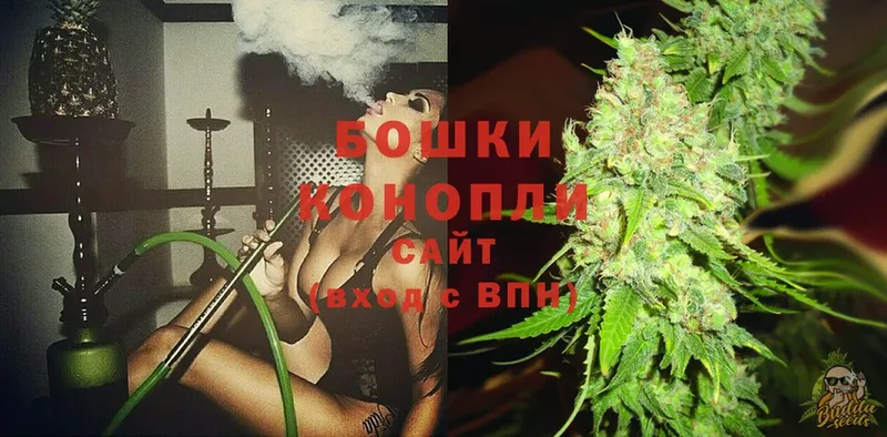 Шишки марихуана Ganja  Новоалтайск 